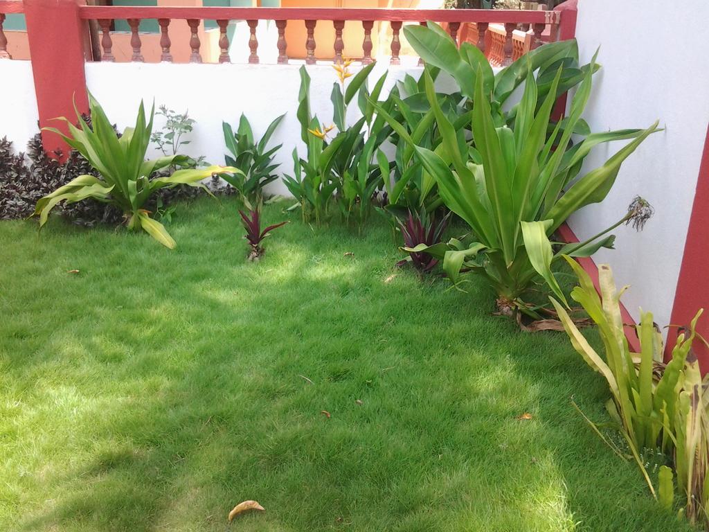 Starco Otel Anjuna Dış mekan fotoğraf
